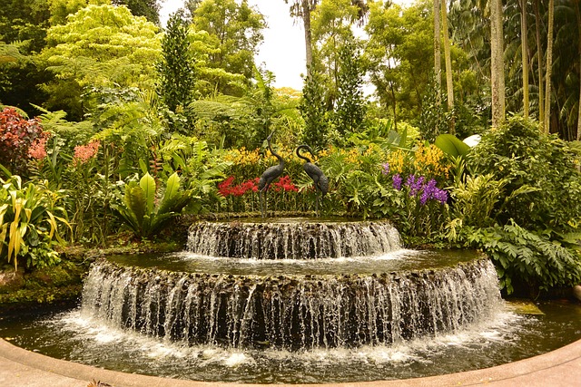 Singapore Botanic Gardens