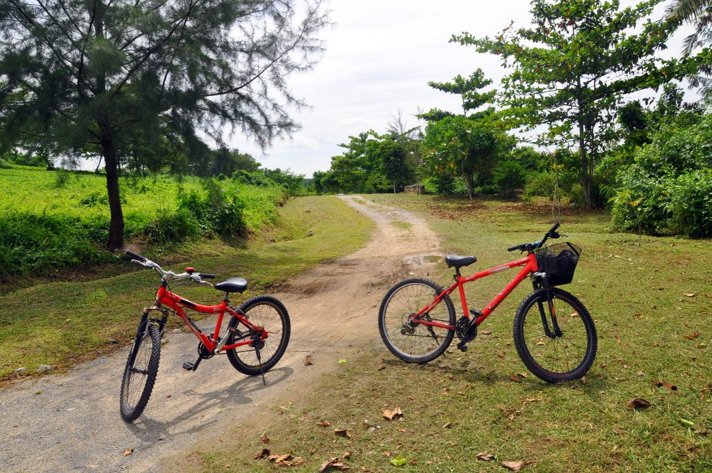 Biking Trails in Singapore