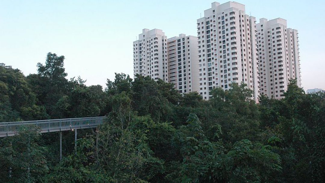 Southern Ridges, Singapore | Image Credit - (WT-shared) Jpatokal at wts wikivoyage, CC BY-SA 4.0 via Wikipedia Commons