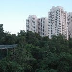 Southern Ridges, Singapore | Image Credit - (WT-shared) Jpatokal at wts wikivoyage, CC BY-SA 4.0 via Wikipedia Commons