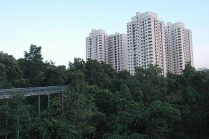 Southern Ridges, Singapore | Image Credit - (WT-shared) Jpatokal at wts wikivoyage, CC BY-SA 4.0 via Wikipedia Commons