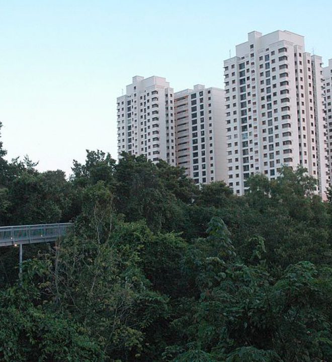 Southern Ridges, Singapore | Image Credit - (WT-shared) Jpatokal at wts wikivoyage, CC BY-SA 4.0 via Wikipedia Commons