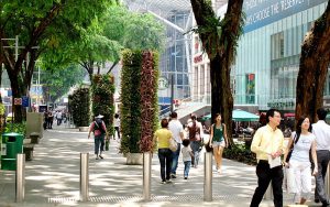 The Orchard Road | Image Credit - By Niall Sohan [Public domain], from Wikimedia Commons