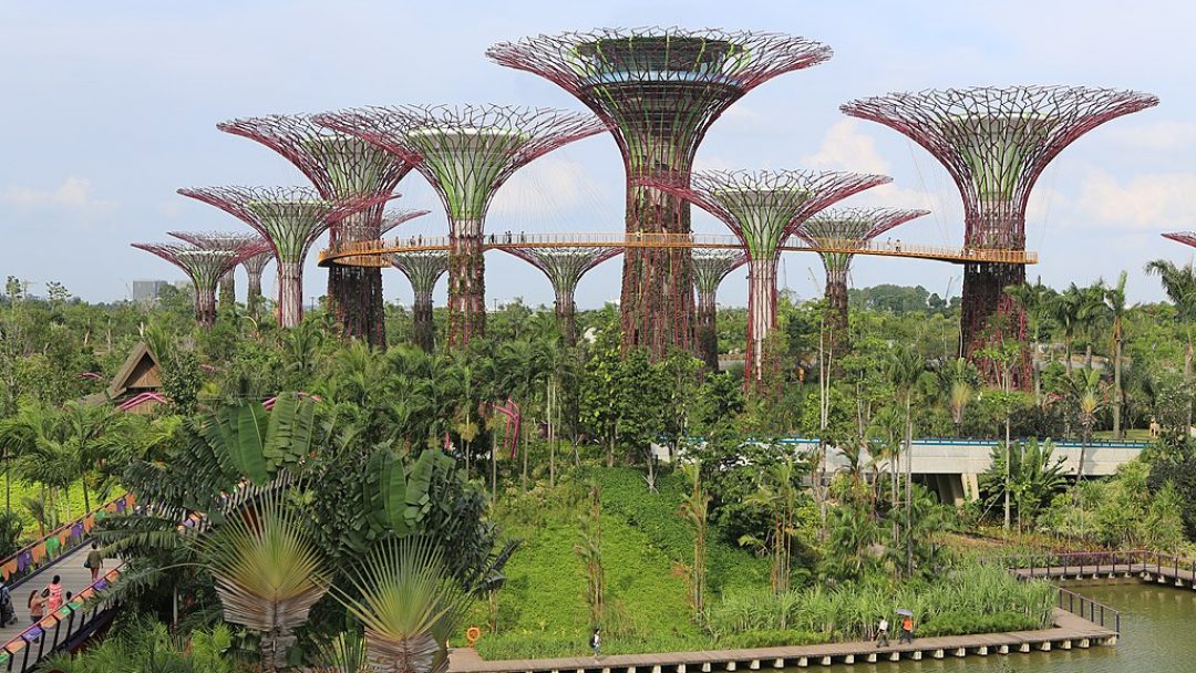 Gardens by the Bay