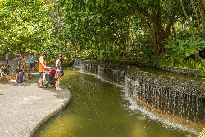 Singapore Botanic Gardens