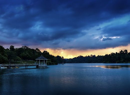 MacRitchie Reservoir