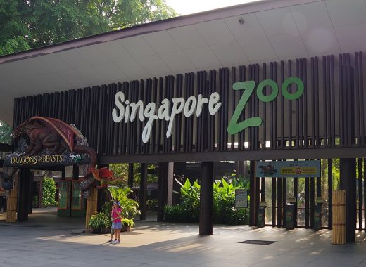 An Itinerary for Art and Nature Lovers in Singapore
