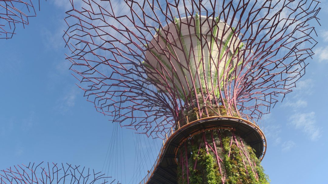 Supertree Grove in Singapore