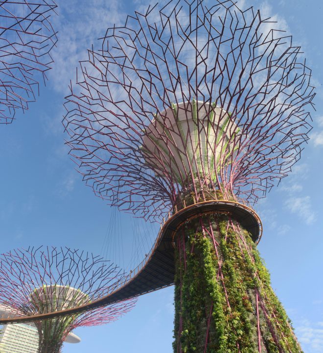Supertree Grove in Singapore