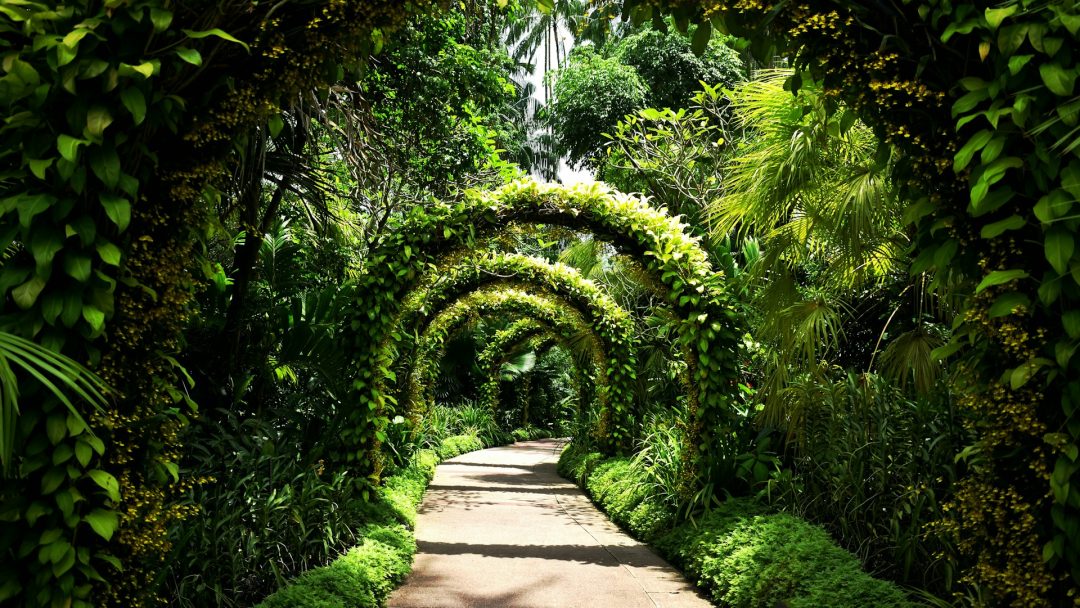 Guide to Affordable Family Adventures in Singapore Beyond the Tourist Hotspots