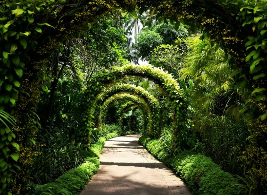 Guide to Affordable Family Adventures in Singapore Beyond the Tourist Hotspots