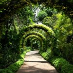 Sustainable Travel in Singapore What Modern Travellers Should Know